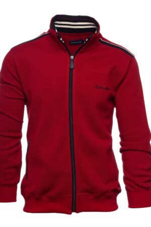 professional pinstripe blazer